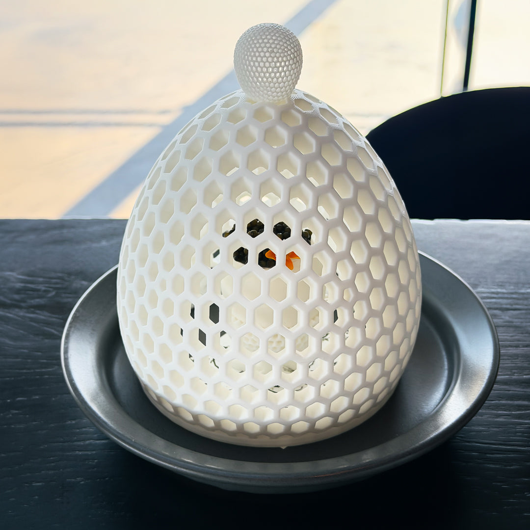 SchuitMi Ostrich's Secret