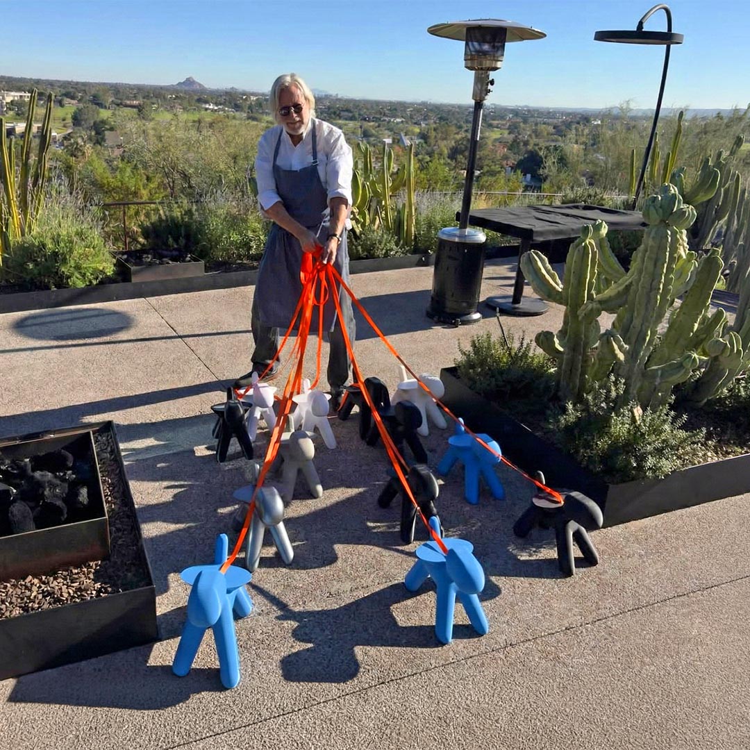 SchuitMi Purse Pooch Chef Christopher